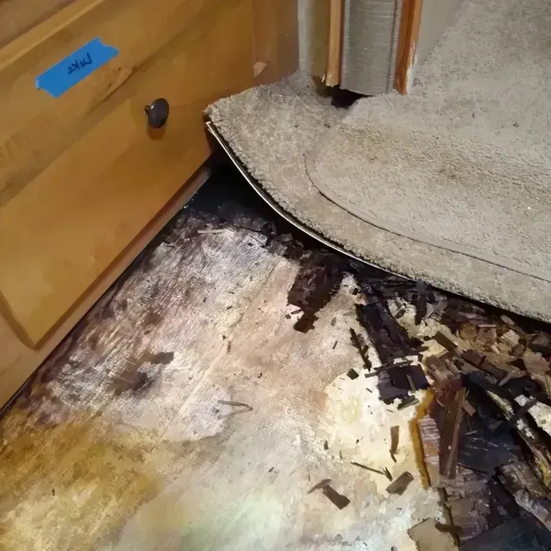 Best Wood Floor Water Damage Service in Huntingdon, PA